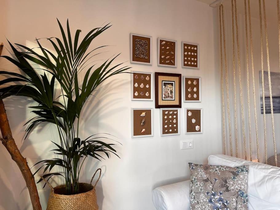 Ocean Dream Apartments - Lovely Sea View Studio Apartment 5Min From Beach San Marcos  Exterior foto